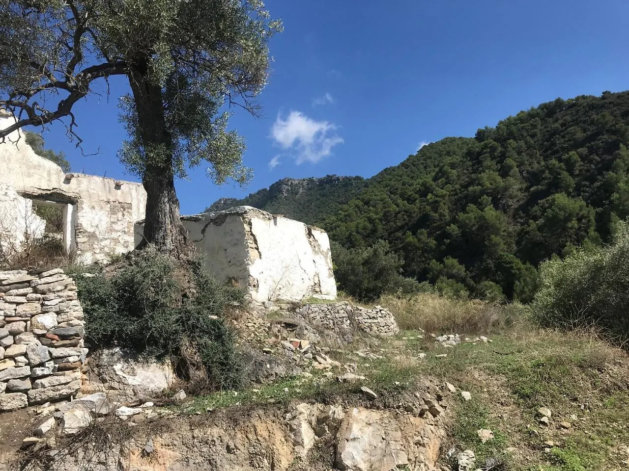 פריחיליאנה B&B The Lost Village El Acebuchal לינה וארוחת בוקר