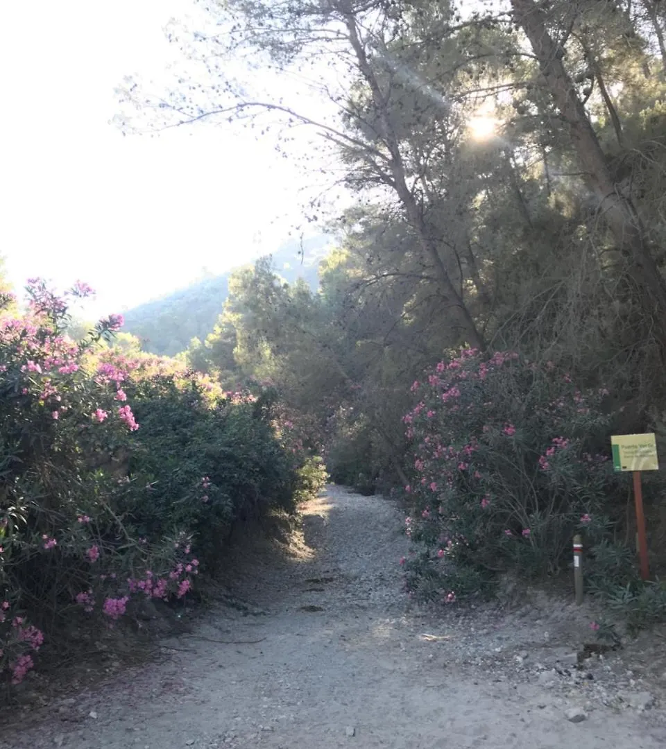 פריחיליאנה B&B The Lost Village El Acebuchal 3*,  ספרד