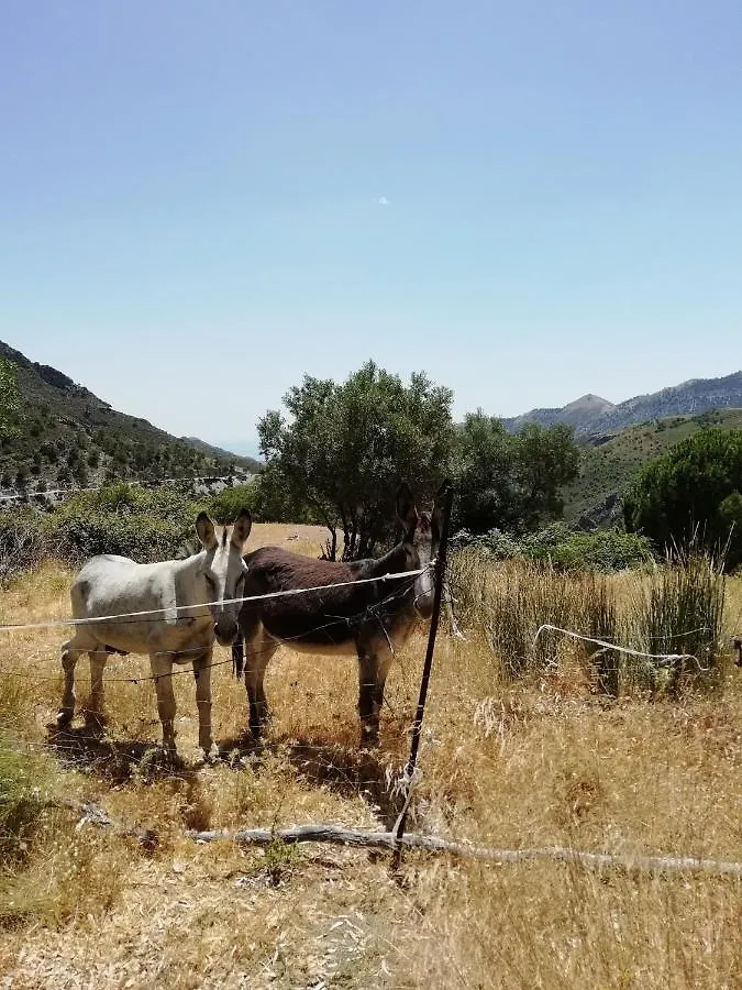 *** Oda ve Kahvaltı B&B The Lost Village El Acebuchal Frigiliana İspanya